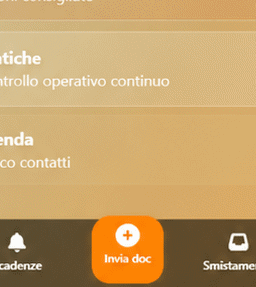 Screenshot mobile EntryFilter